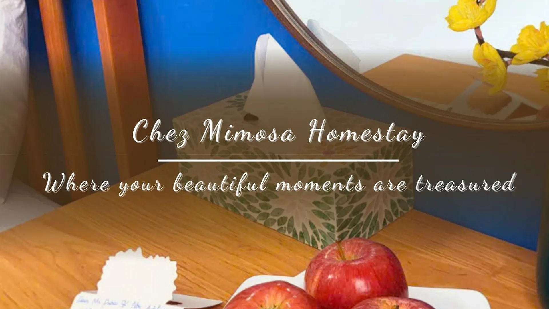 Chez Mimosa Homestay Ho Chi Minh City